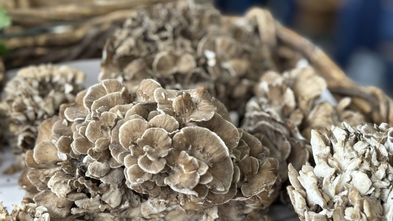 Pike’s Mushrooms Prahran Market Melbourne | Mushroom Wonderland