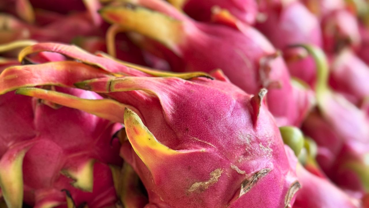 Chiang Mai's Vibrant Market | Muang Mai Market