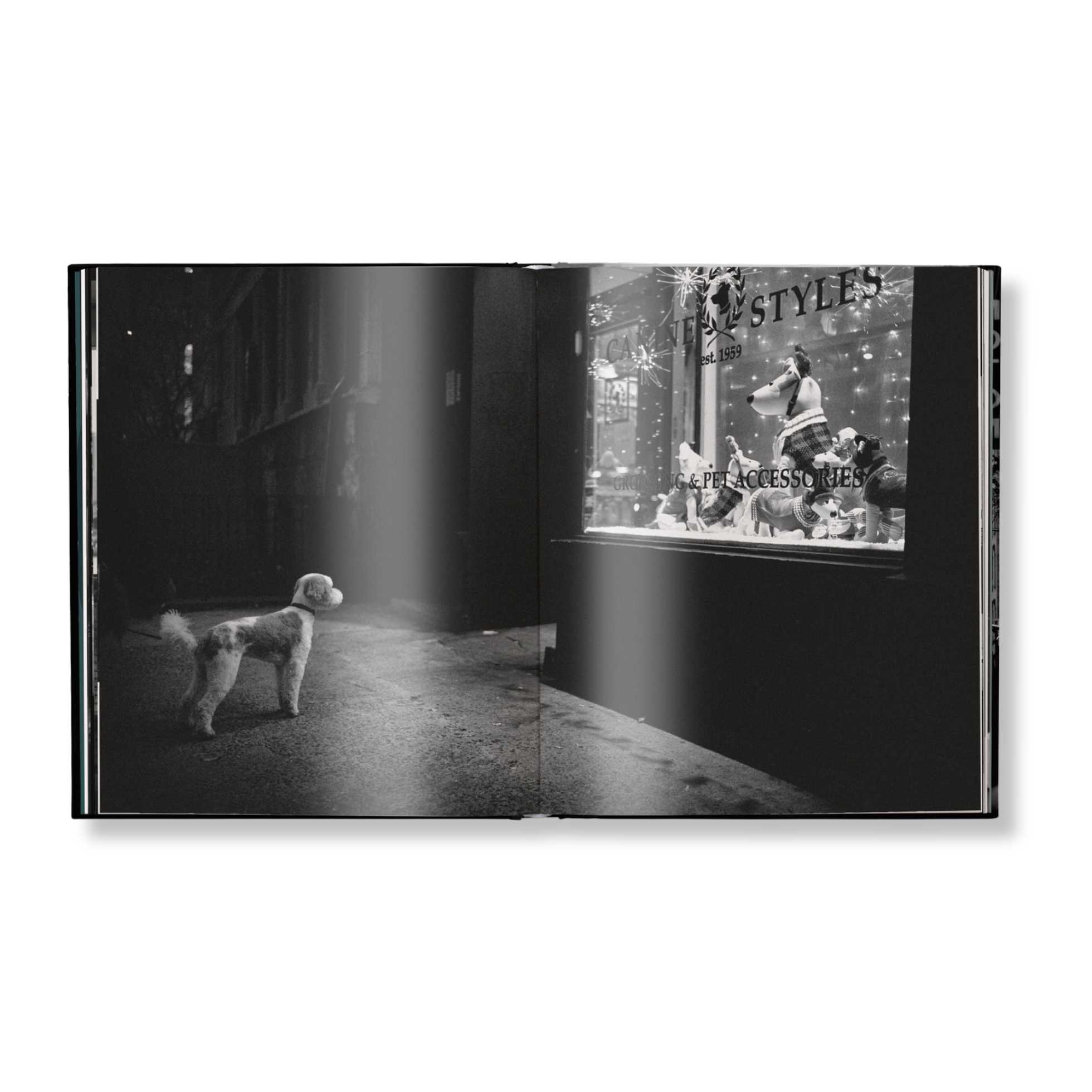 New York Street Diaries: A City in Stillness by Phil Penman